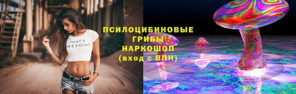 spice Алексеевка